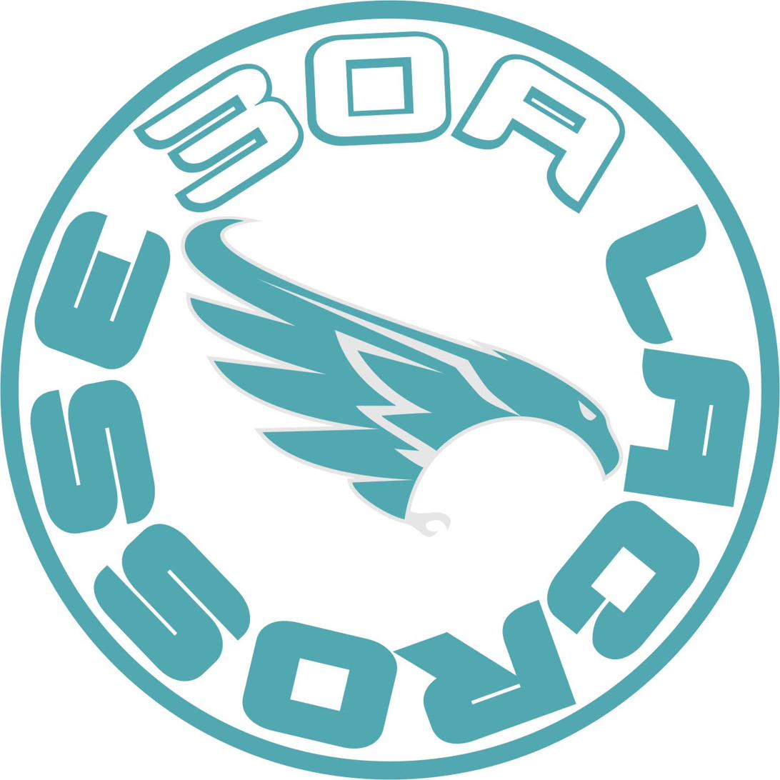 30A Hawks logo